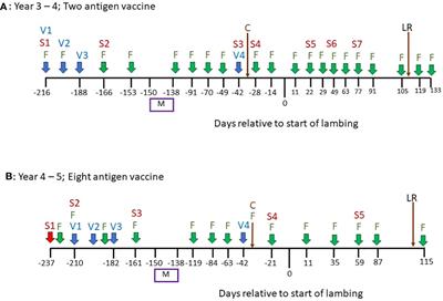 Field testing of recombinant subunit vaccines against Teladorsagia circumcincta in lambing ewes demonstrates a lack of efficacy in the face of a multi-species parasite challenge